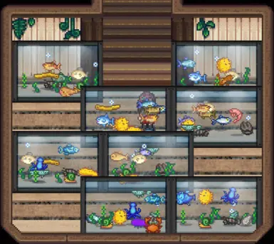 Aqua window (CP)