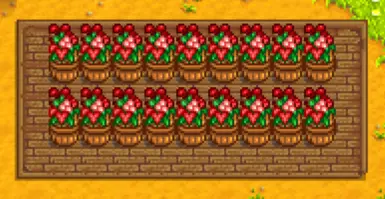 Rosy Reds