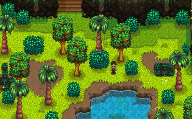 New wild trees grow on Ginger Island