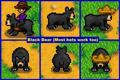 Black Bear