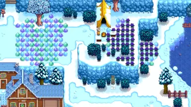 Linus has decorated for winter